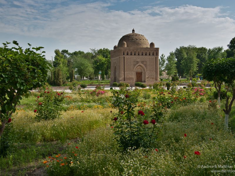 Туры в Узбекистан "Май Расцветай"